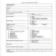 Rescue Italia_Scheda salvataggi