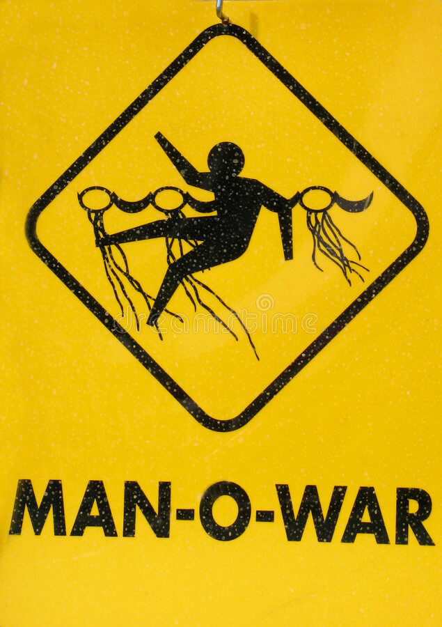 man-o-war-caravella_porotghese_blue_bottle_rescue_italia