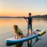 dog_sup_cane_bagno_mare_lago_rescue_italia (2)
